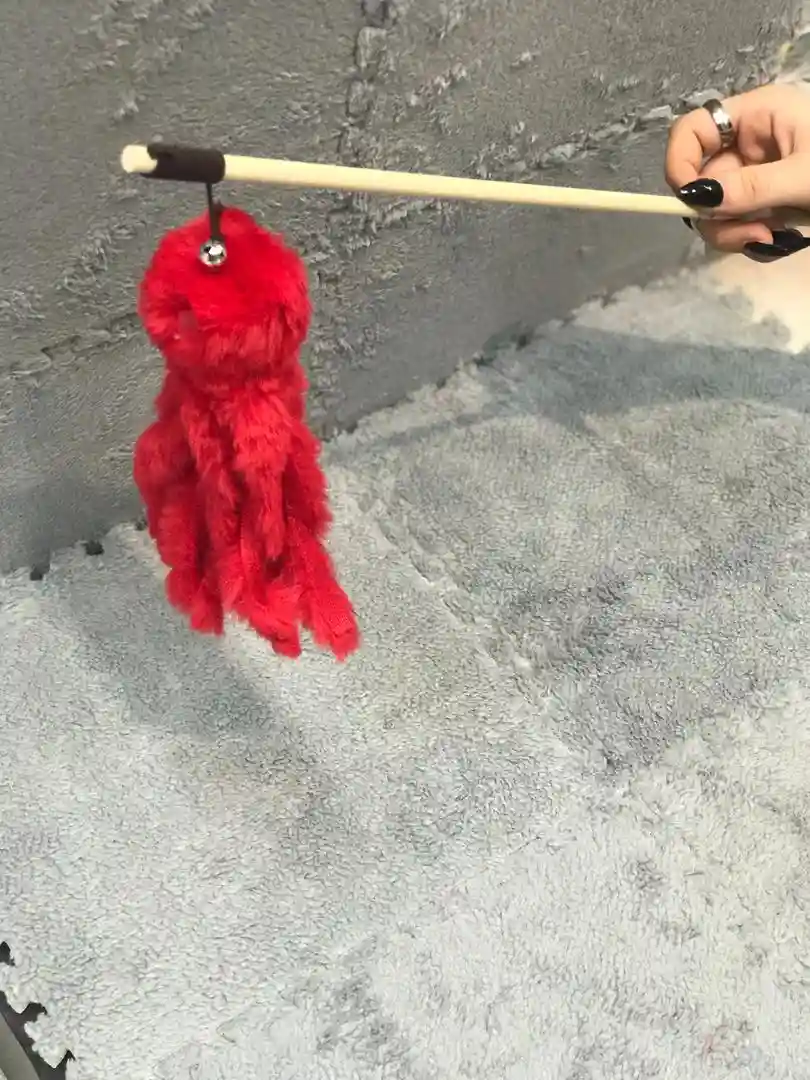 عروسک پت