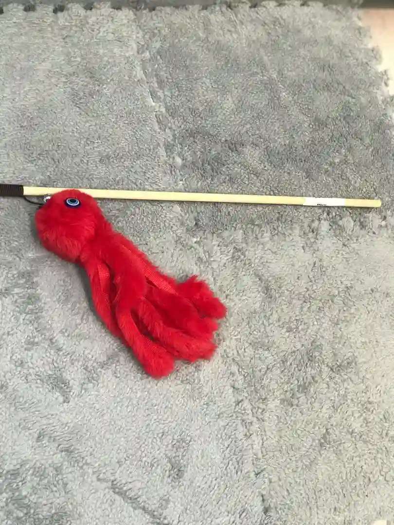 عروسک پت