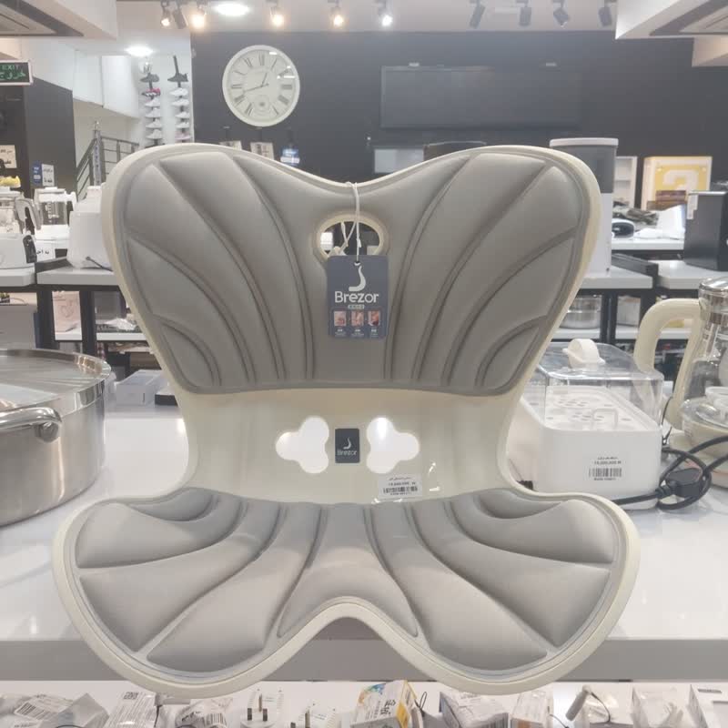 صندلی با پشتیبانی کمر طبی و استاندارد Brezor