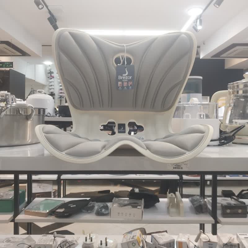 صندلی با پشتیبانی کمر طبی و استاندارد Brezor